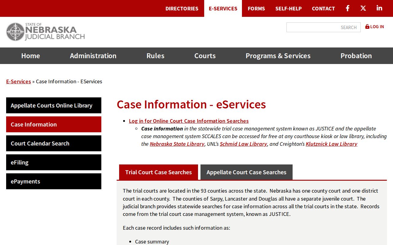 York County criminal court case information eServices explanation
